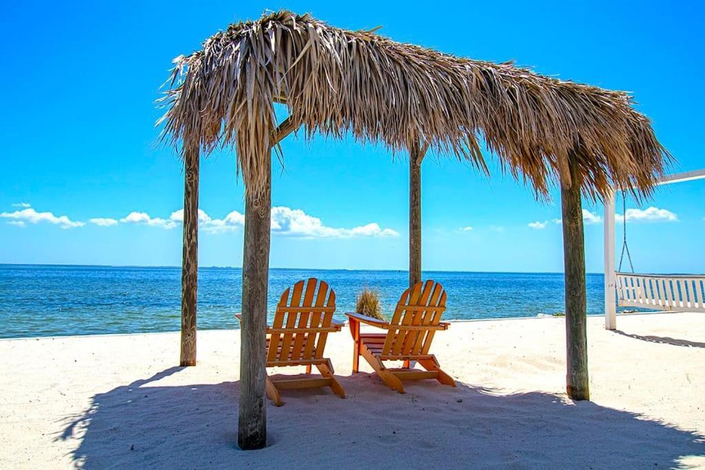 Tropical Serenity-Water View Heated Pool Tiki Bar Tampa Buitenkant foto